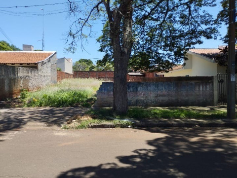 TERRENOS, Rua Evaristo da Veiga