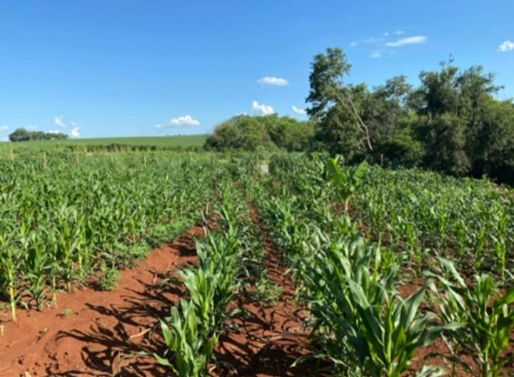 CHÁCARAS, Estrada Marilá