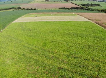 Chácara para Venda em Iguaraçu - PR, Área Rural