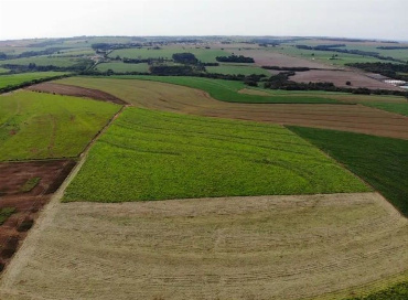 Chácara para Venda em Iguaraçu - PR, Área Rural