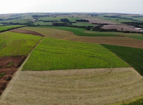 CHÁCARAS, Estrada Espigão