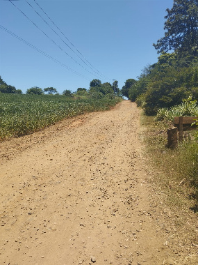 TERRENOS, Estrada Colombo