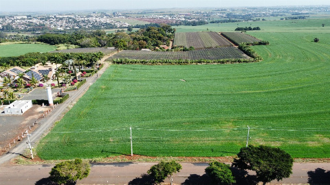 SÍTIOS, Estrada Sarandi