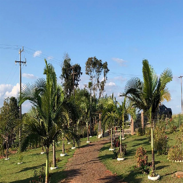 Chácara para Venda em Santa Fé - PR, Não Informado