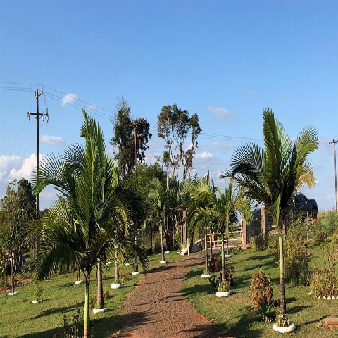 Chácara para Venda em Santa Fé - PR, Não Informado