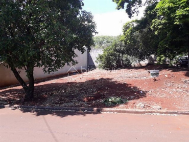 TERRENOS, Avenida Estanislau Pedro Viêira