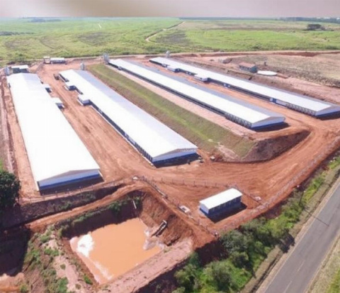 Sítio para Venda em Nova Esperança - PR, Não Informado