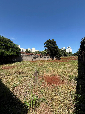 TERRENOS, Rua Pioneiro Alfredo José da Costa