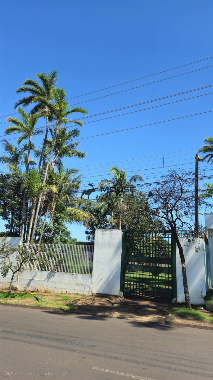 TERRENOS, Rod 323