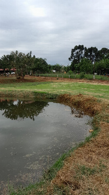 TERRENOS, Rodovia Félix Feiwisch Lerner