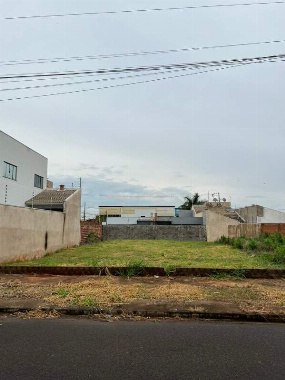 TERRENOS, Rodovia Pr317