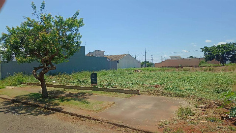 TERRENOS, Rua Dalila da Silva Rios