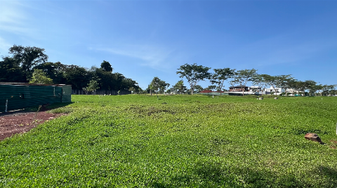 TERRENOS, Estrada Romeirinha