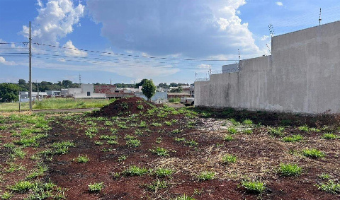 TERRENOS, Rua Pioneiro Izidoro Pereira da Fonseca