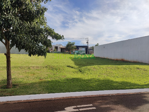 Terreno em Condomínio para Venda em Maringá - PR, Jd Paraíso