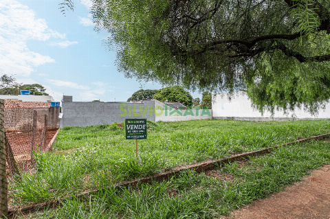 TERRENOS, Avenida José Alves Nendo