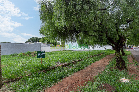 TERRENOS, Avenida José Alves Nendo