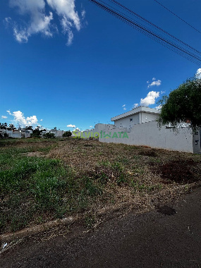 TERRENOS, Rua Rosália Postai Martins