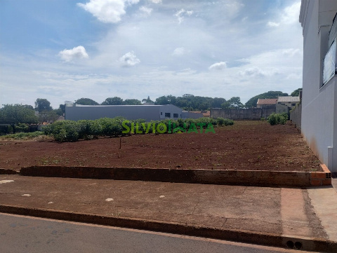 TERRENOS, Rua Olímpio Totti