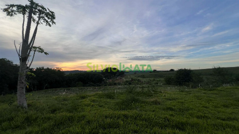 TERRENOS, Lote de Terra