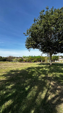 TERRENOS, Pr317