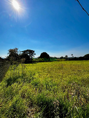 TERRENOS, Rua Paraná