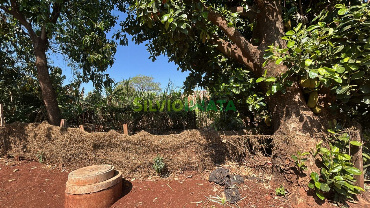 TERRENOS, Rua Machado de Assis