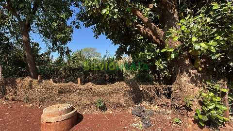 TERRENOS, Rua Machado de Assis