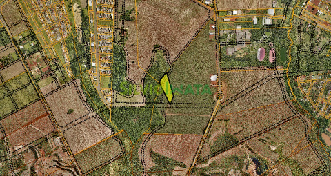 TERRENOS, Avenida Joaquim Duarte Moleirinho