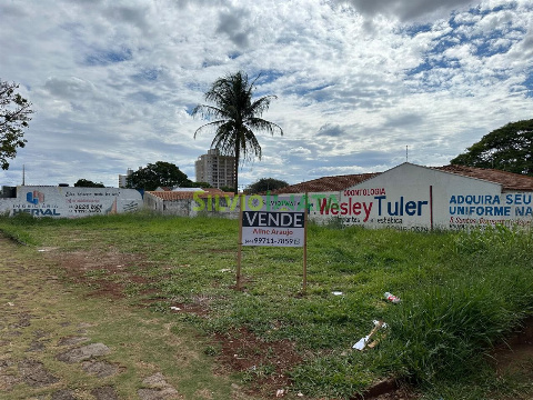 TERRENOS, Rua José Moreno Júnior