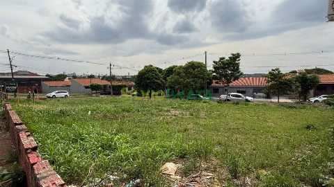 TERRENOS, Avenida Tuiuti