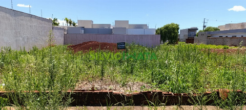 TERRENOS, Rua Pioneiro David Rodrigues Ferreira