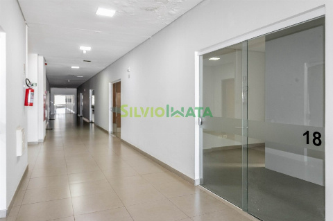 SALAS COMERCIAIS, Rua das Camélias