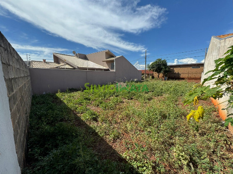 TERRENOS, Rua Sebastião Xavier Pereira