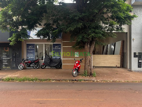 BARRACÃO, Avenida Ângelo Perine