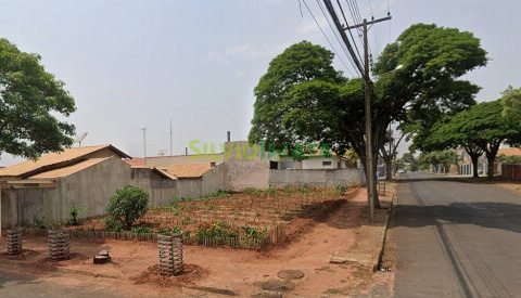 TERRENOS, Rua Ageu Rodrigues Carolino
