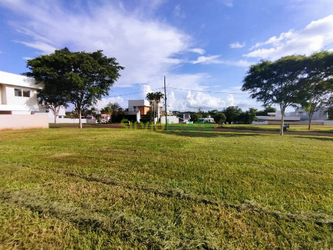 TERRENOS, Rodovia Pr 317