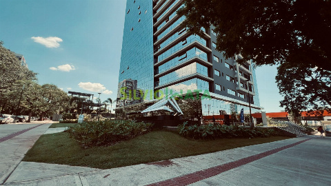 SALAS COMERCIAIS, Avenida Carneiro Leão