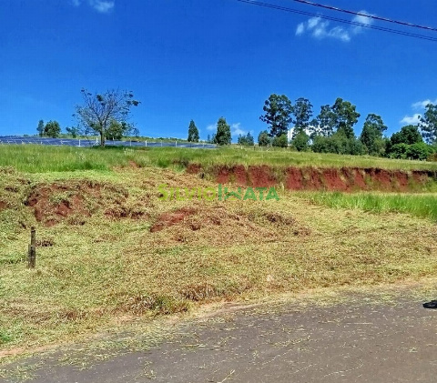 TERRENOS, Rua Jessie Marques Boska