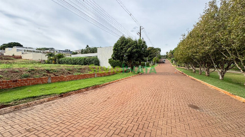 TERRENOS, Avenida Morangueira