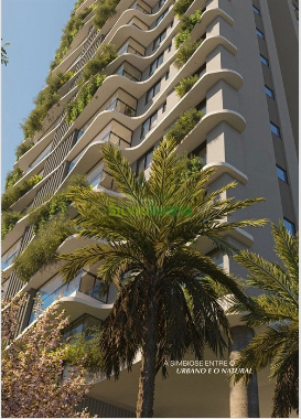 APARTAMENTOS, Rua Pioneiro Domingos Salgueiro