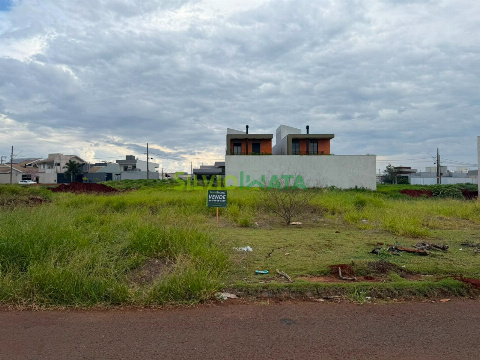 TERRENOS, Avenida Dona Sophia Rasgulaeff
