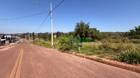 TERRENOS, Rua Palmeirinha
