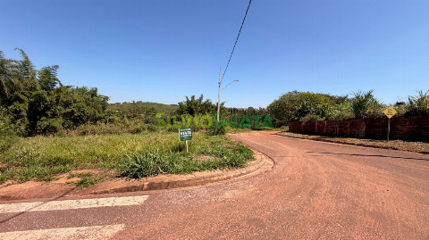 TERRENOS, Rua Palmeirinha