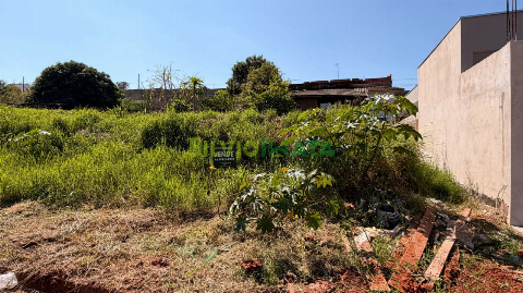 TERRENOS, Rua Vera Cruz
