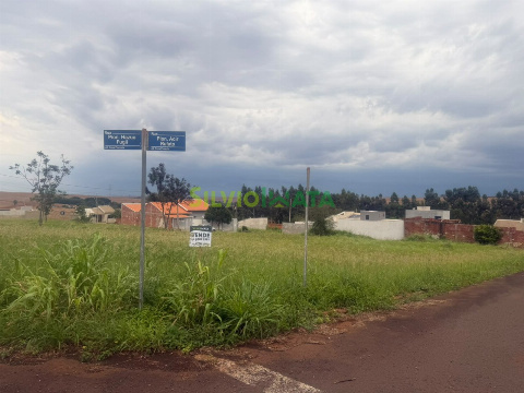 Terreno para Venda em Floresta - PR, Jd Nova Floresta