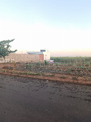 Terreno para Venda em Mandaguaçu - PR, Jd Catuaí
