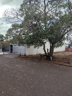 TERRENOS, Rua Hideo Shinike