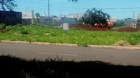 TERRENOS, Avenida Mario Gallo