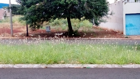 TERRENOS, Avenida Mario Gallo